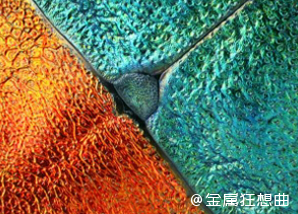 为何金属总是能“发光”,光泽背后的原理是啥?